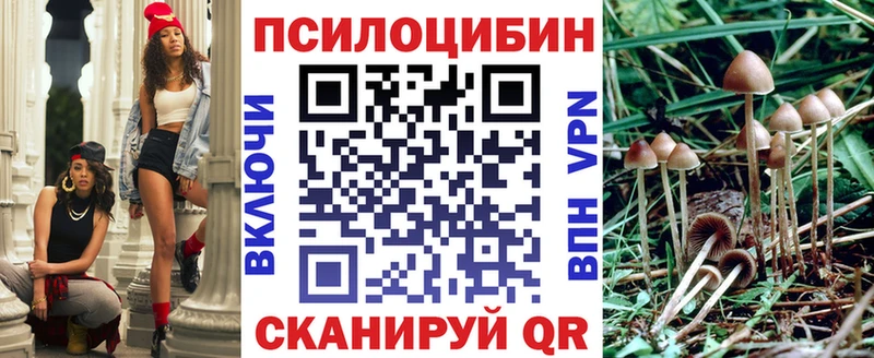 ОМГ ОМГ   как найти закладки  Питкяранта  Псилоцибиновые грибы Cubensis 